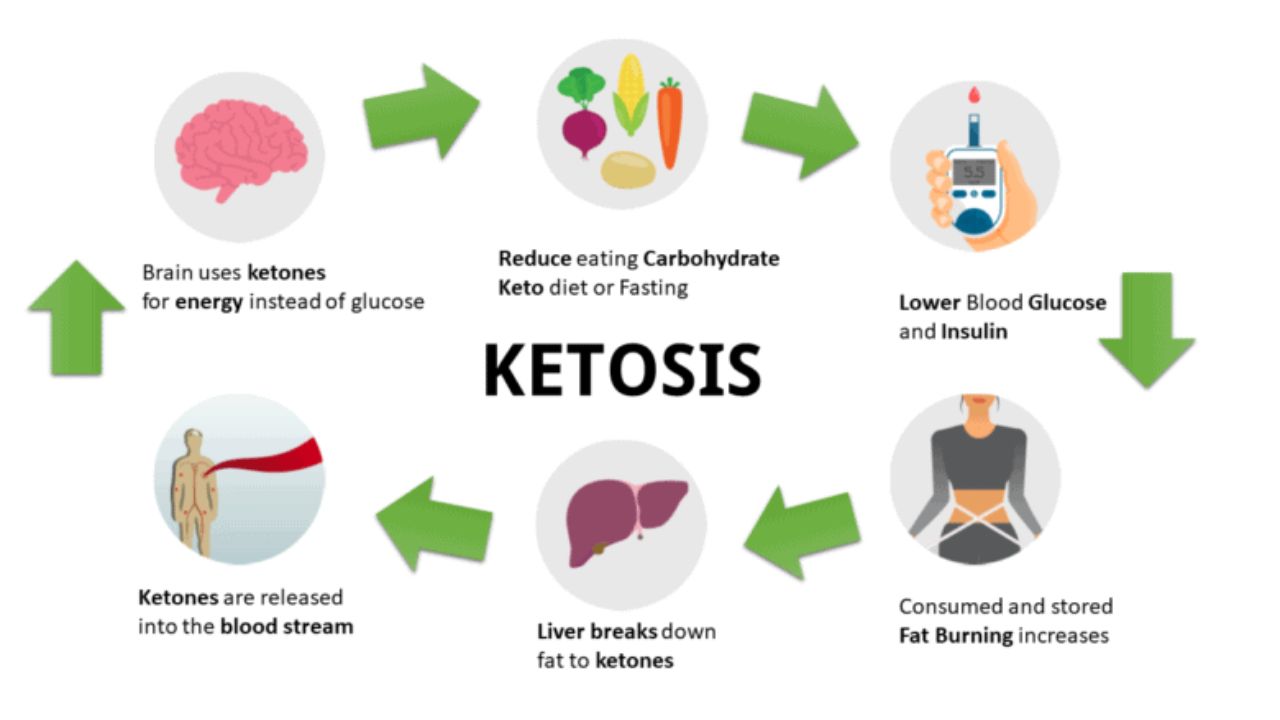 Unlock the Power of Ketosis #1 Your Ultimate Guide to Rapid Weight Loss