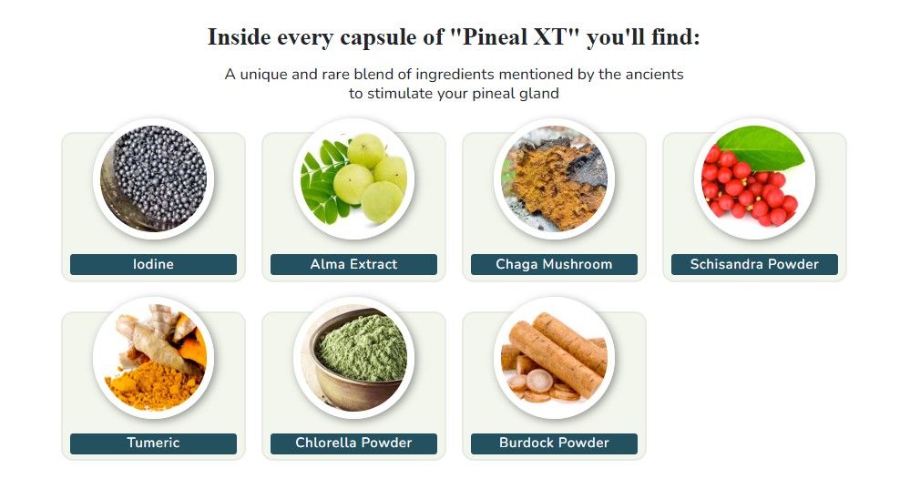 Key Ingredients of Pineal XT